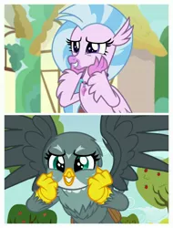 Size: 3106x4096 | Tagged: safe, derpibooru import, edit, edited screencap, screencap, gabby, silverstream, gryphon, hippogriff, the fault in our cutie marks, uprooted, birb, cute, diastreamies, gabbybetes