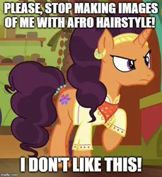 Size: 500x546 | Tagged: safe, derpibooru import, edit, edited screencap, screencap, saffron masala, pony, unicorn, spice up your life, caption, cropped, female, grammar error, image macro, mare, meme, solo, text