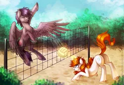 Size: 3053x2083 | Tagged: safe, artist:limreiart, derpibooru import, oc, oc:gray stillness, oc:light sunrise, unofficial characters only, pegasus, pony, unicorn, ball, cute, levitation, magic, playing, sports, telekinesis, volleyball