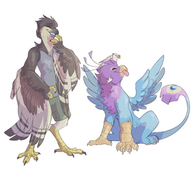 Size: 1000x900 | Tagged: safe, artist:godbird, derpibooru import, oc, oc:der, oc:gyro feather, oc:gyro tech, oc:lief woodcock, unofficial characters only, avian, bird, gryphon, hawk, griffonized, male, mff, micro, simple background, sparrowhawk, species swap, transparent background