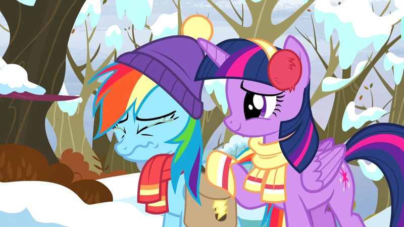 Size: 1920x1080 | Tagged: safe, derpibooru import, screencap, rainbow dash, twilight sparkle, twilight sparkle (alicorn), alicorn, pony, tanks for the memories, bag, clothes, crying, earmuffs, forest, saddle bag, scarf, snow, tree