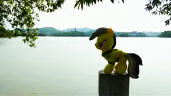 Size: 4096x2304 | Tagged: china, chinese text, daring do, derpibooru import, huizhou, huizhou west lake, irl, lake, photo, safe