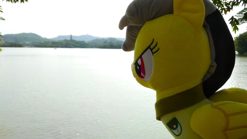 Size: 4096x2304 | Tagged: china, chinese text, daring do, derpibooru import, huizhou, huizhou west lake, irl, lake, photo, safe