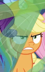 Size: 231x369 | Tagged: safe, derpibooru import, screencap, applejack, fluttershy, rainbow dash, rarity, pony, the ending of the end, leak, angry, applejack is not amused, cropped, shrunken pupils, solo focus, unamused