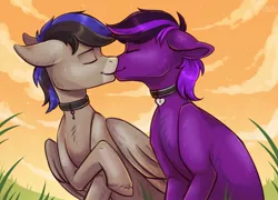 Size: 1500x1080 | Tagged: safe, artist:purplefox, derpibooru import, oc, oc:gamebrony, oc:kioshka, earth pony, pegasus, pony, collar, gay, kissing, male