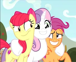 Size: 946x773 | Tagged: safe, derpibooru import, screencap, apple bloom, scootaloo, sweetie belle, earth pony, pegasus, pony, unicorn, growing up is hard to do, adorabloom, cropped, cute, cutealoo, cutie mark, cutie mark crusaders, diasweetes, excited, female, group hug, hug, mare, older, older apple bloom, older cmc, older scootaloo, older sweetie belle, raised hoof, smiling, the cmc's cutie marks, trio, underhoof