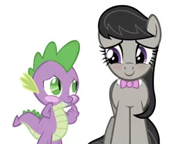 Size: 750x620 | Tagged: safe, artist:zacatron94, derpibooru import, edit, editor:undeadponysoldier, octavia melody, spike, dragon, earth pony, pony, blush sticker, blushing, bowtie, cute, daaaaaaaaaaaw, female, in love, looking at each other, male, mare, shipping, simple background, spikabetes, spiketavia, straight, tavibetes, white background
