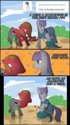 Size: 1138x2034 | Tagged: safe, artist:cnat, derpibooru import, maud pie, oc, oc:pun, cockatrice, earth pony, pony, ask pun, ask, comic, double facehoof, facehoof, female, floating heart, grammar, heart, mare, petrification, pun