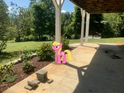 Size: 4032x3024 | Tagged: safe, derpibooru import, photographer:undeadponysoldier, lily, lily valley, earth pony, pony, augmented reality, cinder block, female, flower, gameloft, irl, mare, photo, ponies in real life, rose, solo, tree