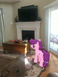 Size: 3024x4032 | Tagged: safe, derpibooru import, photographer:undeadponysoldier, sugar belle, earth pony, pony, augmented reality, clock, female, fireplace, flatscreen, gameloft, irl, mare, photo, ponies in real life, solo, table, television