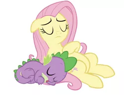 Size: 750x578 | Tagged: safe, artist:red4567, derpibooru import, edit, editor:undeadponysoldier, fluttershy, spike, pegasus, pony, cute, eyes closed, female, fluttermom, flutterspike, male, mama fluttershy, mare, shipping, simple background, sleeping, spikelove, straight, white background