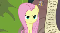 Size: 1920x1080 | Tagged: safe, derpibooru import, screencap, fluttershy, pony, she talks to angel, checklist, female, frown, mare, solo