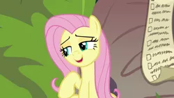 Size: 1280x720 | Tagged: safe, derpibooru import, screencap, fluttershy, pony, she talks to angel, checklist, female, list, mare, solo