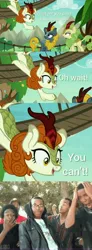 Size: 3413x9321 | Tagged: safe, derpibooru import, edit, edited screencap, screencap, autumn blaze, spring glow, winter flame, kirin, pony, sounds of silence, background kirin, comic, female, meme, roasted, screencap comic, supa hot fire