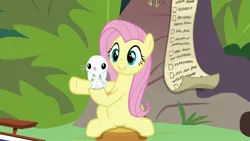 Size: 1920x1080 | Tagged: safe, derpibooru import, screencap, angel bunny, fluttershy, pony, rabbit, she talks to angel, animal, checklist, duo, female, list, male, mare