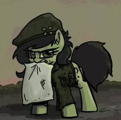 Size: 299x296 | Tagged: safe, artist:plunger, derpibooru import, oc, oc:anonfilly, unofficial characters only, earth pony, pony, angry, clothes, clover, dirt, dirty, ear fluff, female, filly, grass, hat, looking at you, military, military uniform, mouth hold, pillow, question mark, simple background, solo