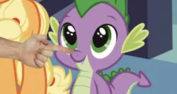 Size: 633x336 | Tagged: safe, derpibooru import, edit, edited screencap, editor:undeadponysoldier, screencap, applejack, spike, dragon, earth pony, human, pony, spike at your service, adorable face, boop, cute, female, hand, happy, irl, irl human, male, mare, noseboop, photo, spikabetes, spikelove