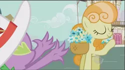 Size: 640x360 | Tagged: safe, derpibooru import, screencap, junebug, spike, dragon, earth pony, pony, secret of my excess, basket, basket of flowers, eyes closed, female, flower, hat, hub logo, mare, raised hoof