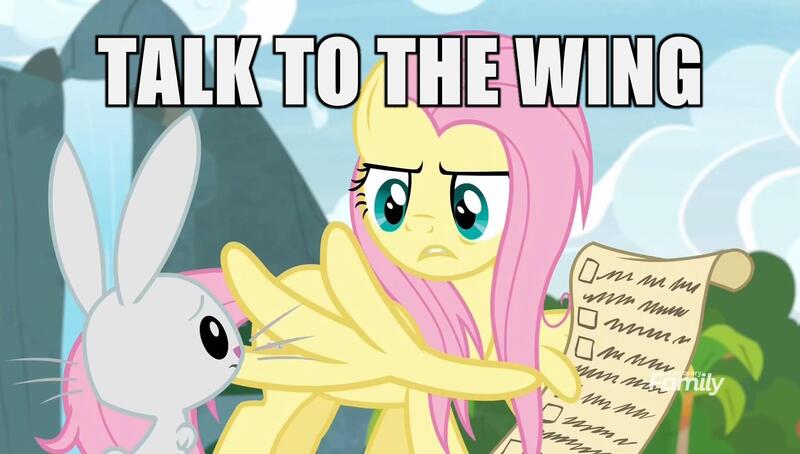 Size: 1596x905 | Tagged: safe, artist:themisto97, derpibooru import, edit, edited screencap, screencap, angel bunny, fluttershy, pegasus, pony, rabbit, she talks to angel, animal, checklist, discovery family logo, duo, female, male, mare, meme, talk to the hand, terminator, wing hands, wings