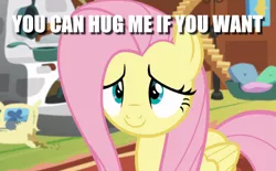 Size: 1022x634 | Tagged: safe, derpibooru import, edit, edited screencap, screencap, fluttershy, pegasus, pony, fluttershy leans in, bronybait, caption, cute, female, hug request, image macro, lidded eyes, mare, shyabetes, solo, sweet dreams fuel, text, this will end in cuddles, this will end in snuggles