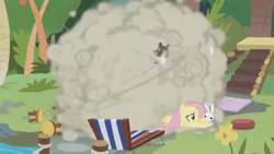 Size: 1600x900 | Tagged: safe, derpibooru import, screencap, angel bunny, fluttershy, pony, rabbit, raccoon, she talks to angel, animal, ball of violence, chair, chaotic, duo, dust cloud, female, fight, flower, lawn chair, lounge chair, male, mare, sweet feather sanctuary