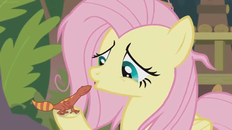 Size: 1600x900 | Tagged: safe, derpibooru import, screencap, fluttershy, fire lizard, gecko, lizard, pegasus, pony, she talks to angel, bags under eyes, duo, female, frazzled, mare, sweet feather sanctuary, tired