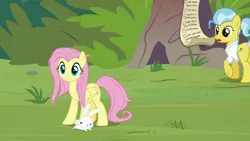 Size: 1920x1080 | Tagged: safe, derpibooru import, screencap, angel bunny, doctor fauna, fluttershy, earth pony, pegasus, pony, rabbit, she talks to angel, animal, checklist, female, male, mare, messy mane, trio