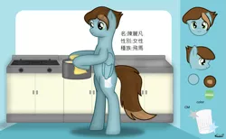 Size: 1465x900 | Tagged: artist:99999999000, bipedal, chinese text, cook, cooking, derpibooru import, food, oc, oc:chen lifan, pot, reference sheet, safe, soup