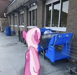 Size: 3024x2939 | Tagged: safe, derpibooru import, photographer:undeadponysoldier, cheerilee, earth pony, pony, augmented reality, female, gameloft, irl, mare, photo, ponies in real life, shopping cart, solo, walmart