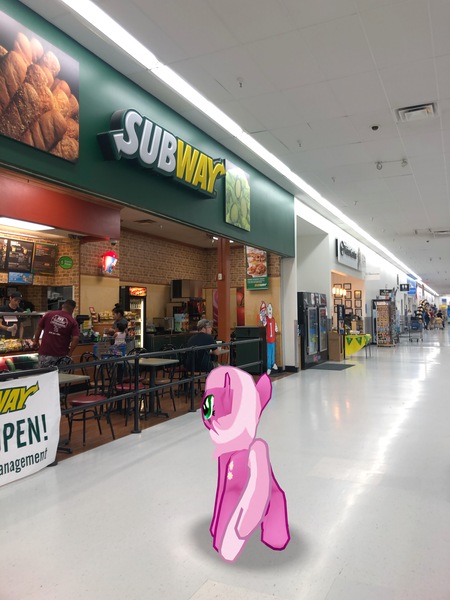 Size: 3024x4032 | Tagged: safe, derpibooru import, photographer:undeadponysoldier, cheerilee, earth pony, human, pony, augmented reality, female, food, gameloft, irl, irl human, mare, photo, ponies in real life, restaurant, subway, walmart