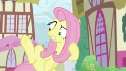 Size: 1920x1080 | Tagged: safe, derpibooru import, screencap, angel bunny, fluttershy, pegasus, pony, she talks to angel, angel is not amused, body swap, confused, female, gritted teeth, hind legs, male, mare, not fluttershy, ponyville, raised eyebrow, raised leg, so ridiculous it's funny, solo