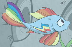 Size: 240x156 | Tagged: artist:skitter, cropped, derpibooru import, female, fish, fishified, goldfish, idw, rainbow dash, rainbow trout, safe, solo, species swap, spoiler:comic, spoiler:comic78