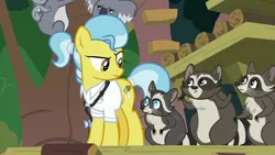 Size: 1920x1080 | Tagged: safe, derpibooru import, screencap, doctor fauna, smoky, smoky jr., softpad, earth pony, koala, pony, raccoon, she talks to angel, animal, clothes, female, mare, shirt, shrug, stethoscope