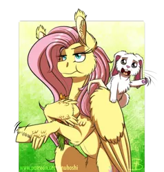 Size: 1124x1181 | Tagged: safe, artist:inuhoshi-to-darkpen, derpibooru import, angel bunny, fluttershy, pegasus, pony, rabbit, she talks to angel, animal, body swap, duo, ear tufts, feathered fetlocks, female, flower, hoof hold, male, mare, paws, simple background, transparent background, unamused, underpaw, unshorn fetlocks, wing claws