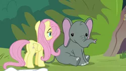 Size: 1920x1080 | Tagged: safe, derpibooru import, screencap, angel bunny, fluttershy, muriel, elephant, pegasus, pony, rabbit, she talks to angel, anima, animal, body swap, duo, female, male, mare, sitting