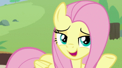 Size: 1280x720 | Tagged: safe, artist:wissle, derpibooru import, edit, screencap, discord, doctor fauna, fluttershy, draconequus, earth pony, koala, pegasus, pony, raccoon, she talks to angel, animal, animated, body swap, cute, discute, female, grin, happy, i want to marry discord, implied discoshy, implied shipping, implied straight, male, mare, parody, scene parody, shipping fuel, smiling, sound, sound at source, sweet feather sanctuary, webm, youtube link
