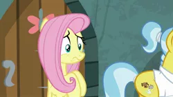 Size: 1920x1080 | Tagged: safe, derpibooru import, screencap, angel bunny, doctor fauna, fluttershy, earth pony, pegasus, pony, she talks to angel, body swap, duo, female, mare, worried