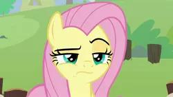 Size: 1920x1080 | Tagged: safe, derpibooru import, screencap, angel bunny, fluttershy, pony, she talks to angel, angel is not amused, body swap, female, mare, raised eyebrow, solo