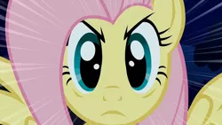 Size: 1600x900 | Tagged: safe, derpibooru import, screencap, fluttershy, pegasus, pony, stare master, eye, eyes, female, looking at you, solo, spread wings, stare, the stare, wings