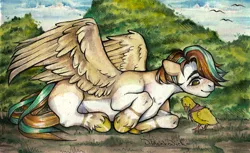 Size: 2235x1364 | Tagged: safe, artist:nikameowbb, derpibooru import, oc, bird, duck, pegasus, pony, advertisement, colored, commission, commission info, cute, digital art, full body, lineart, lined paper, male, nature, paper, pencil, pencil drawing, scenery, solo, traditional art, water, watercolor painting