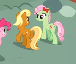 Size: 345x292 | Tagged: safe, derpibooru import, screencap, apple cobbler, florina tart, pinkie pie, earth pony, pony, pinkie pride, apple family member, background pony, bow, cropped, duo focus, female, hair bow, looking at each other, mane bow, mare, walking