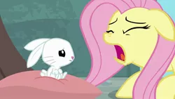 Size: 1920x1080 | Tagged: safe, derpibooru import, screencap, angel bunny, fluttershy, pony, rabbit, she talks to angel, animal, body swap, duo, eyes closed, female, male, mare, open mouth, solo