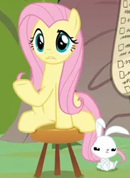 Size: 770x1051 | Tagged: safe, derpibooru import, screencap, angel bunny, fluttershy, pegasus, pony, rabbit, she talks to angel, animal, checklist, cropped, crossed arms, duo, female, male, mare, sitting, stool