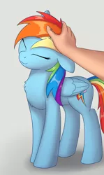 Size: 2972x5000 | Tagged: safe, artist:irisarco, derpibooru import, rainbow dash, human, pegasus, pony, :3, behaving like a cat, chest fluff, cute, dashabetes, disembodied hand, eyes closed, female, floppy ears, hand, human on pony petting, mare, offscreen character, offscreen human, petting, simple background