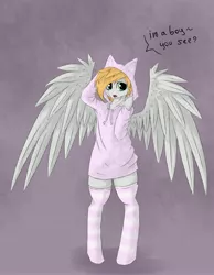 Size: 3534x4558 | Tagged: artist:kelly_foster, clothes, derpibooru import, femboy, hoodie, male, oc, oc:kelly, pegasus, safe, semi-anthro, socks, solo, stallion, striped socks, unofficial characters only
