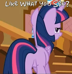 Size: 562x583 | Tagged: safe, derpibooru import, edit, edited screencap, screencap, twilight sparkle, twilight sparkle (alicorn), alicorn, pony, the one where pinkie pie knows, butt, caption, cropped, female, i watch it for the plot, image macro, lidded eyes, like what you see?, looking at you, mare, out of context, plot, presenting, sexy, smiling, solo, staircase, stairs, stupid sexy twilight, text, twibutt