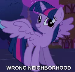 Size: 587x569 | Tagged: safe, derpibooru import, edit, edited screencap, screencap, twilight sparkle, twilight sparkle (alicorn), alicorn, pony, magical mystery cure, caption, cropped, faic, female, image macro, mare, smiling, smirk, solo, spread wings, text, twiface, wings, wrong neighborhood