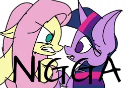Size: 600x421 | Tagged: safe, artist:treble clefé, derpibooru import, fluttershy, twilight sparkle, pegasus, pony, angry, duo, female, glare, mare, nigga, out of character, racism, simple background, vulgar, white background