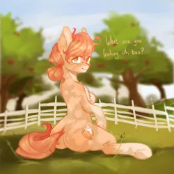 Size: 3000x3000 | Tagged: safe, artist:peachez, derpibooru import, oc, oc:peach bellini, unofficial characters only, earth pony, pony, butt, femboy, garden, looking at you, looking back, looking back at you, male, peaches, solo, sun