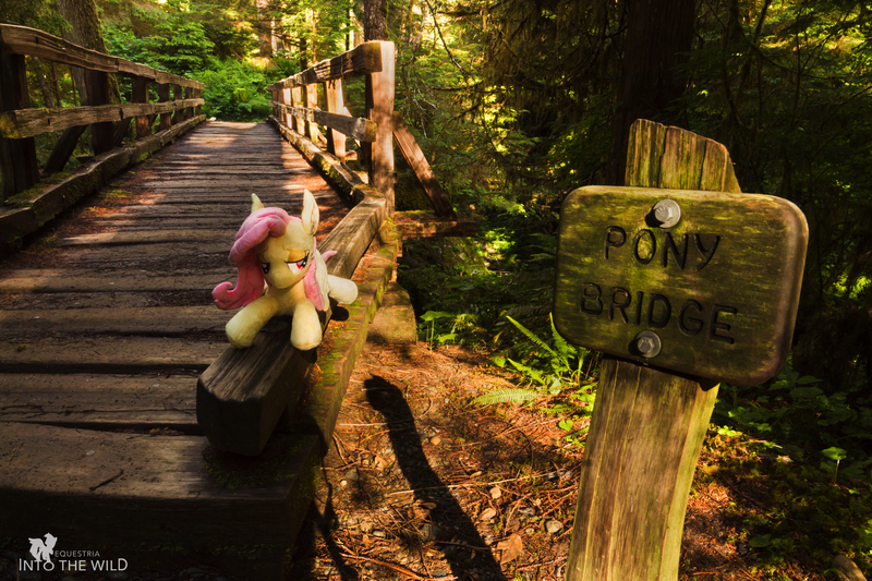 Size: 2500x1667 | Tagged: safe, artist:natureshy, artist:p0w3rporco, derpibooru import, fluttershy, bat pony, pony, bat ponified, bridge, equestria: into the wild, flutterbat, forest, nature, plushie, ponies around the world, race swap, rainforest, sign, watermark, wood